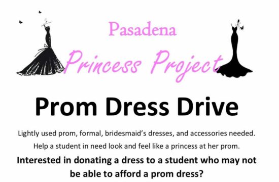 Princess Project flyer